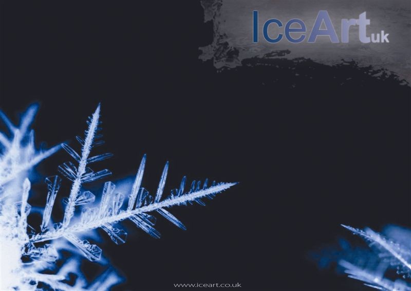 Logo Ice Art